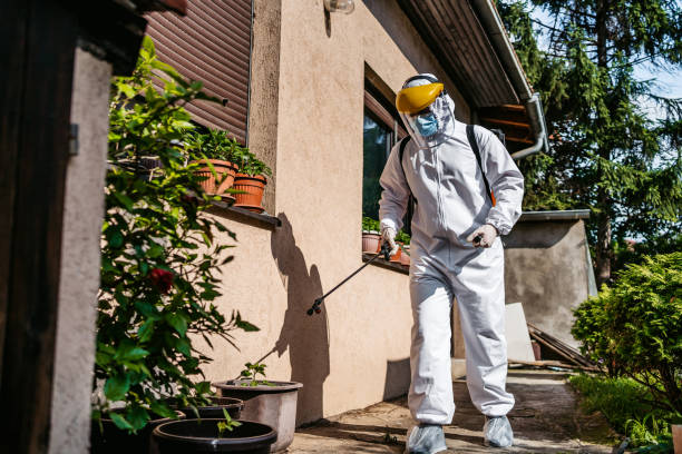  Kerrville, TX Pest Control Pros