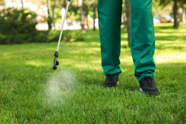 Trusted Kerrville, TX Pest Control Experts