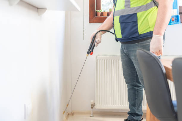 Best Flea Control Services  in Kerrville, TX