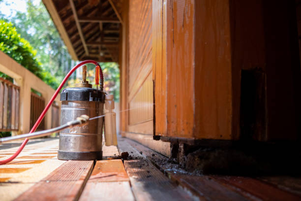 Best Termite Control Services  in Kerrville, TX