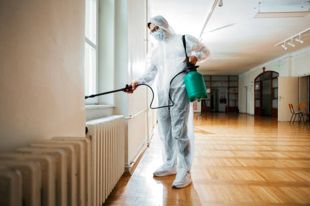 Best Pest Prevention Services  in Kerrville, TX