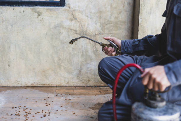 Best Exterminator Services  in Kerrville, TX
